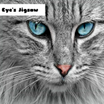 Cat Eye’s Jigsaw