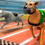 Dogs3D Races