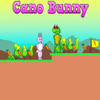 Cano Bunny